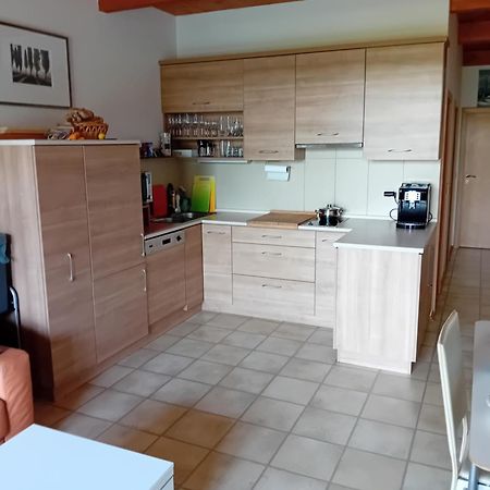 Apartman Lipno A12 リプノ・ナト・ヴルタヴォウ エクステリア 写真