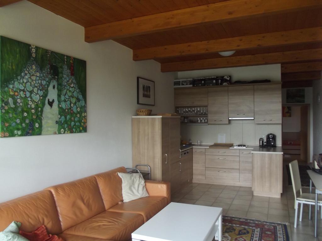 Apartman Lipno A12 リプノ・ナト・ヴルタヴォウ エクステリア 写真