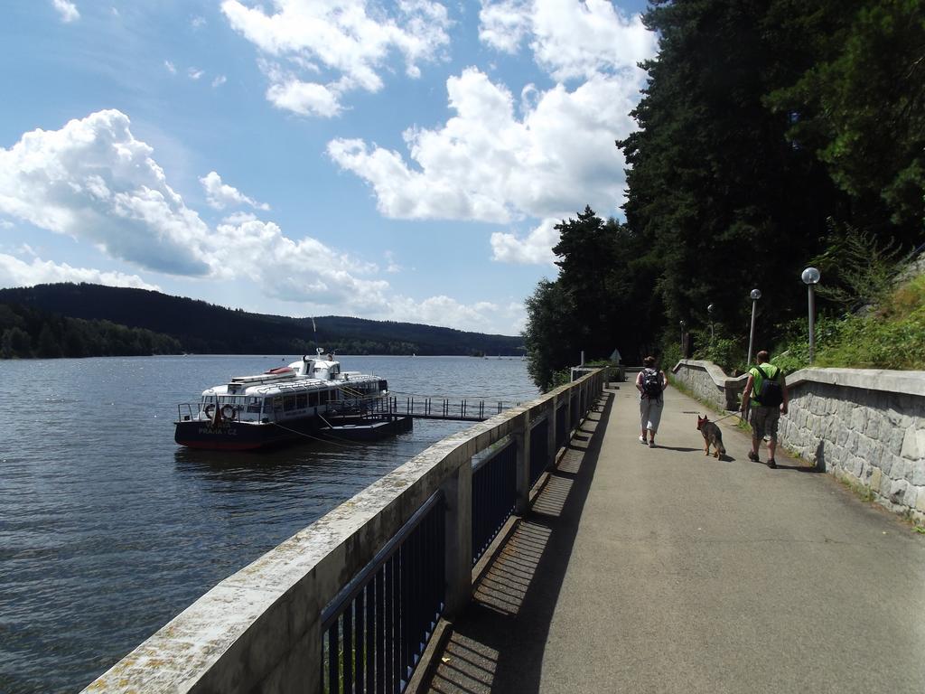 Apartman Lipno A12 リプノ・ナト・ヴルタヴォウ エクステリア 写真