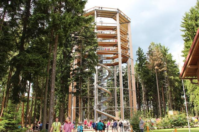 Apartman Lipno A12 リプノ・ナト・ヴルタヴォウ エクステリア 写真